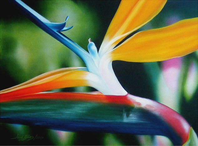 "Ave de Paraiso" Oil Canvas Others