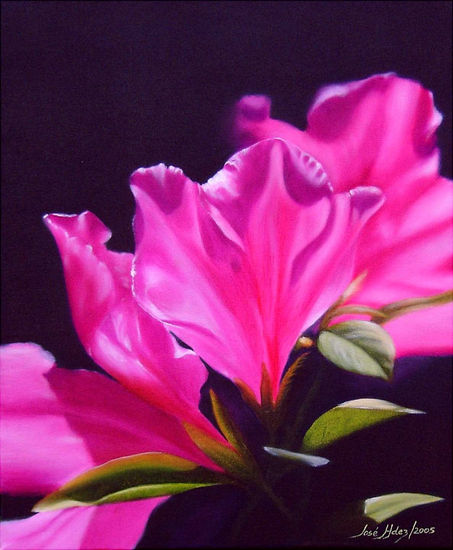 "Azalea" Oil Canvas Floral Painting