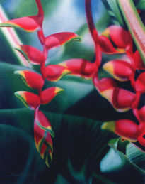 "Heliconia"