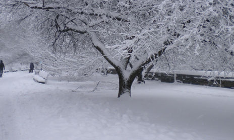 White White White.................