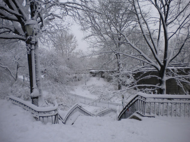 Stairs to the Hudson River