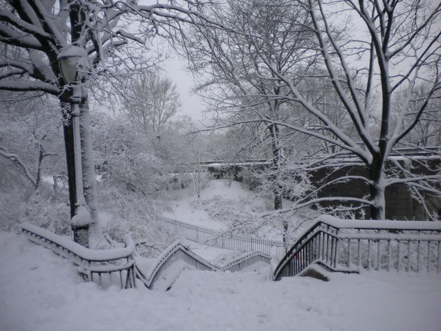 Stairs to the Hudson River 