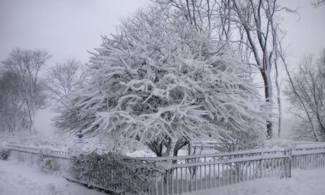 White White White.................