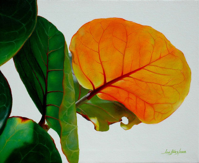 "Leaves II" Oil Canvas Others