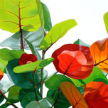 "Leaves" thumbnail 2