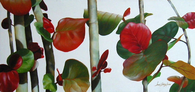 "Sea Grape II" Óleo Lienzo Floral