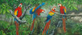 "Macaws·