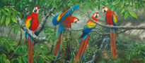 "Macaws·