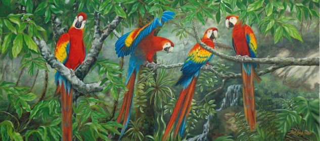 "Macaws· Óleo Lienzo Animales