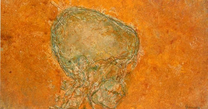 Skull
