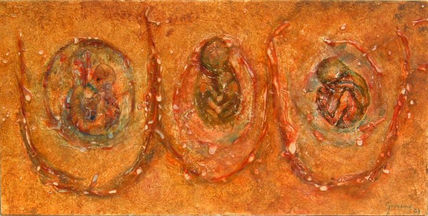 Embryo
