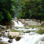 Landscapes thumbnail 1