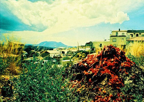 la parata