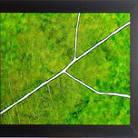 Ambiente thumbnail 2