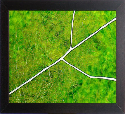Natura