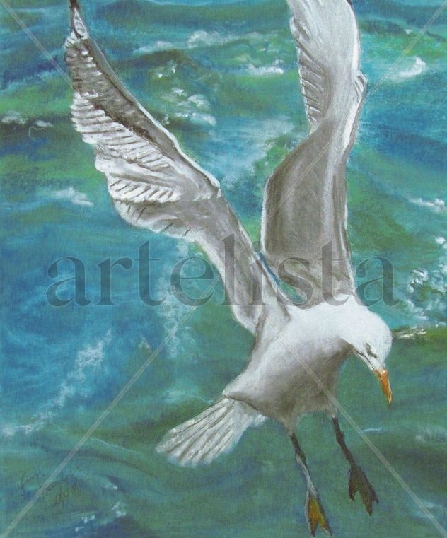 Gaviota (Seagull)