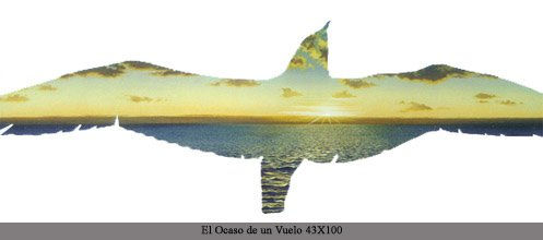 ´´el ocaso de un vuelo´´ Oil Canvas Marine Painting