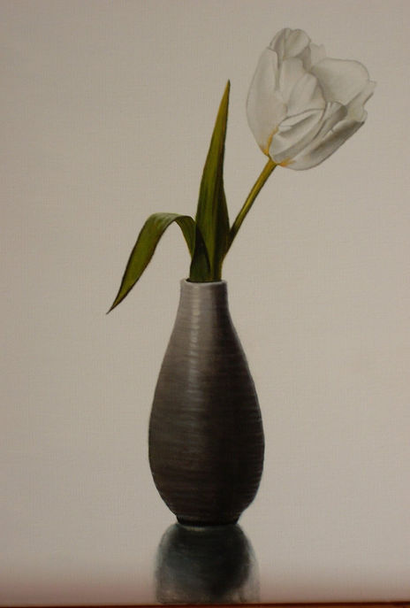 Tulipan
