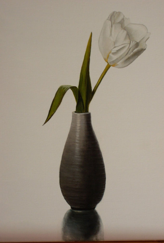 tulipan