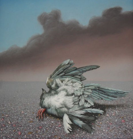 Dead bird