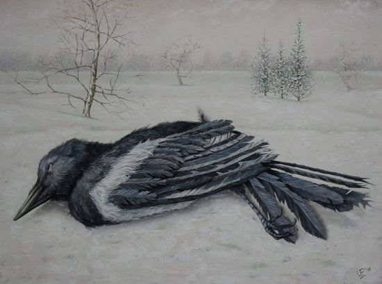 dead bird in the snow 