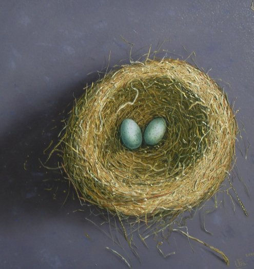 nest with eggs