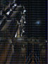 Wellington Luk - Moon - Photography