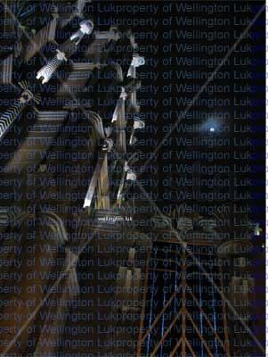 Wellington Luk - Moon - Photography
