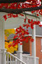 Fall