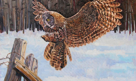 Wildlife