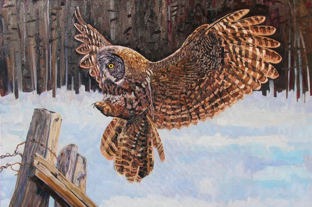 Grey Owl Oil Canvas Animals