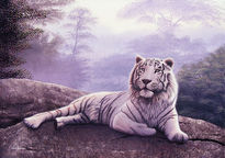 Tigre blanco