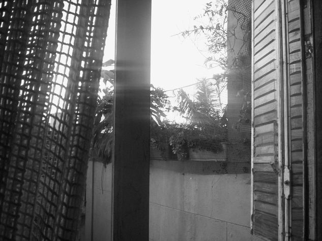 Ventana Arquitectura e interiorismo Blanco y Negro (Digital)