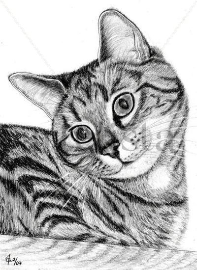 GATO - CAT Pencil