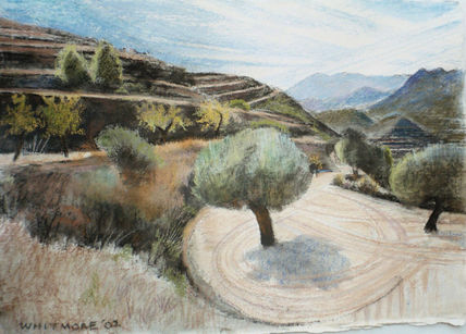 Olive tree, path to...