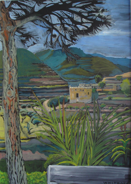 Pine tree by the Cross