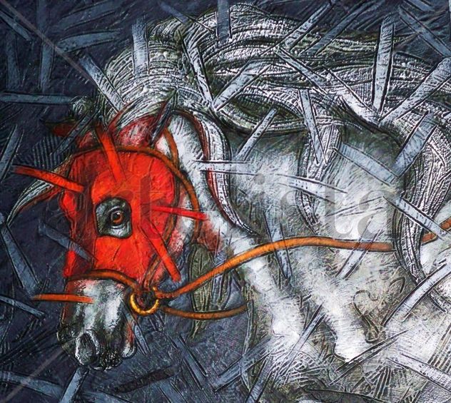 From The  Kingdom's Horses: The Red Rebel II