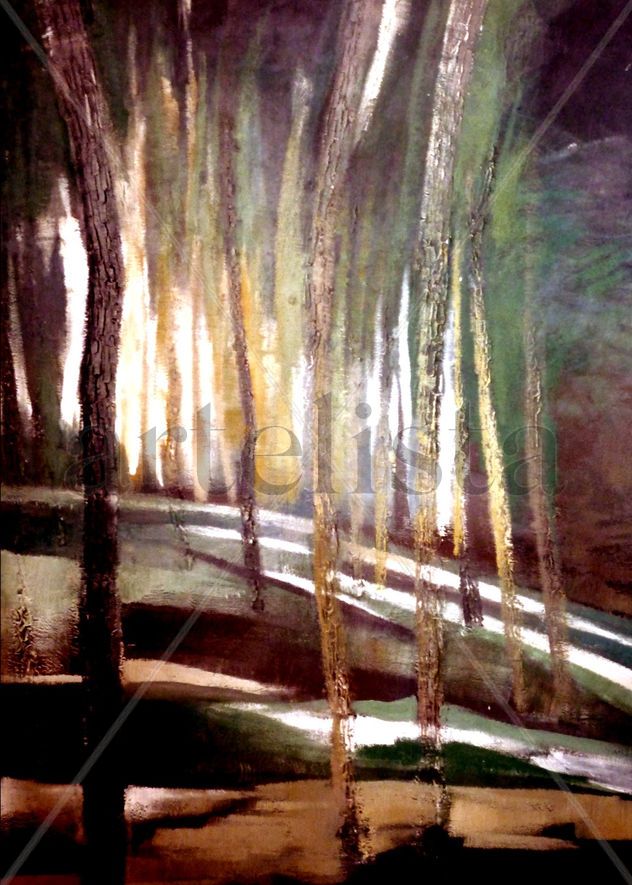 San Jorge woods
