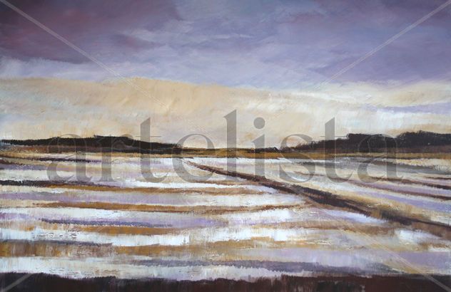 rice fields, Spain