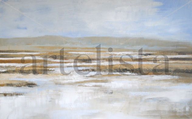 rice fields2 - Spain