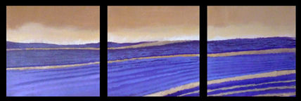South french's fields