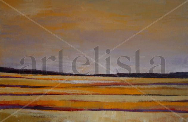 Spanish fields