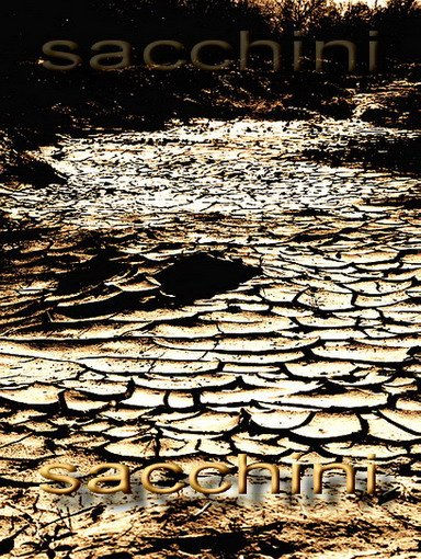 Arid