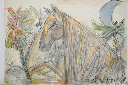 Cavalo pampa