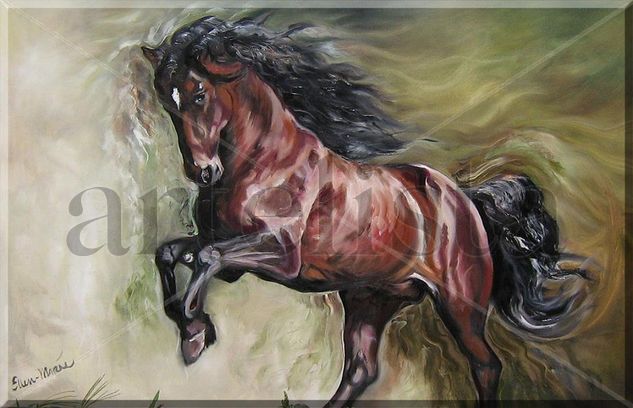 spanish stallion Oil Canvas Animals