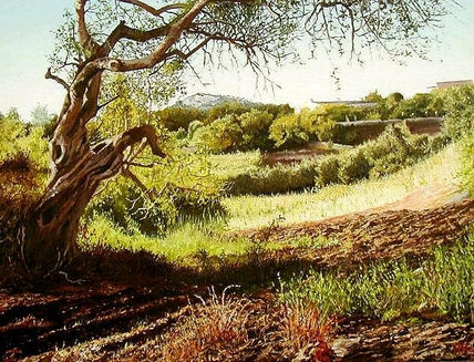 Old tree