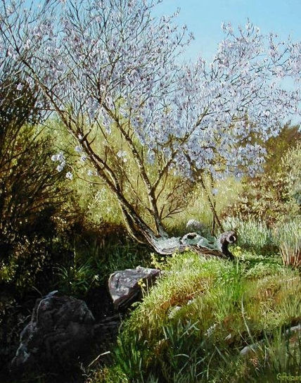 Almond tree with...