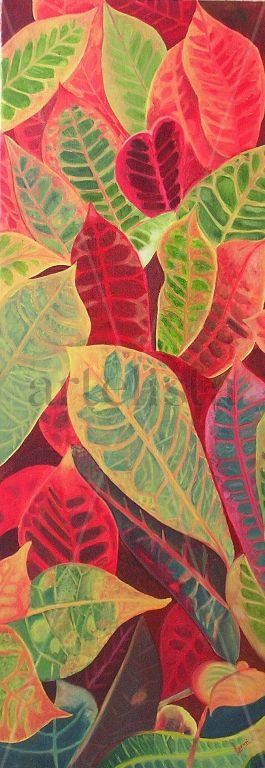 Colours of nature