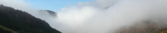 Imagen de portada