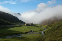 Llega la niebla